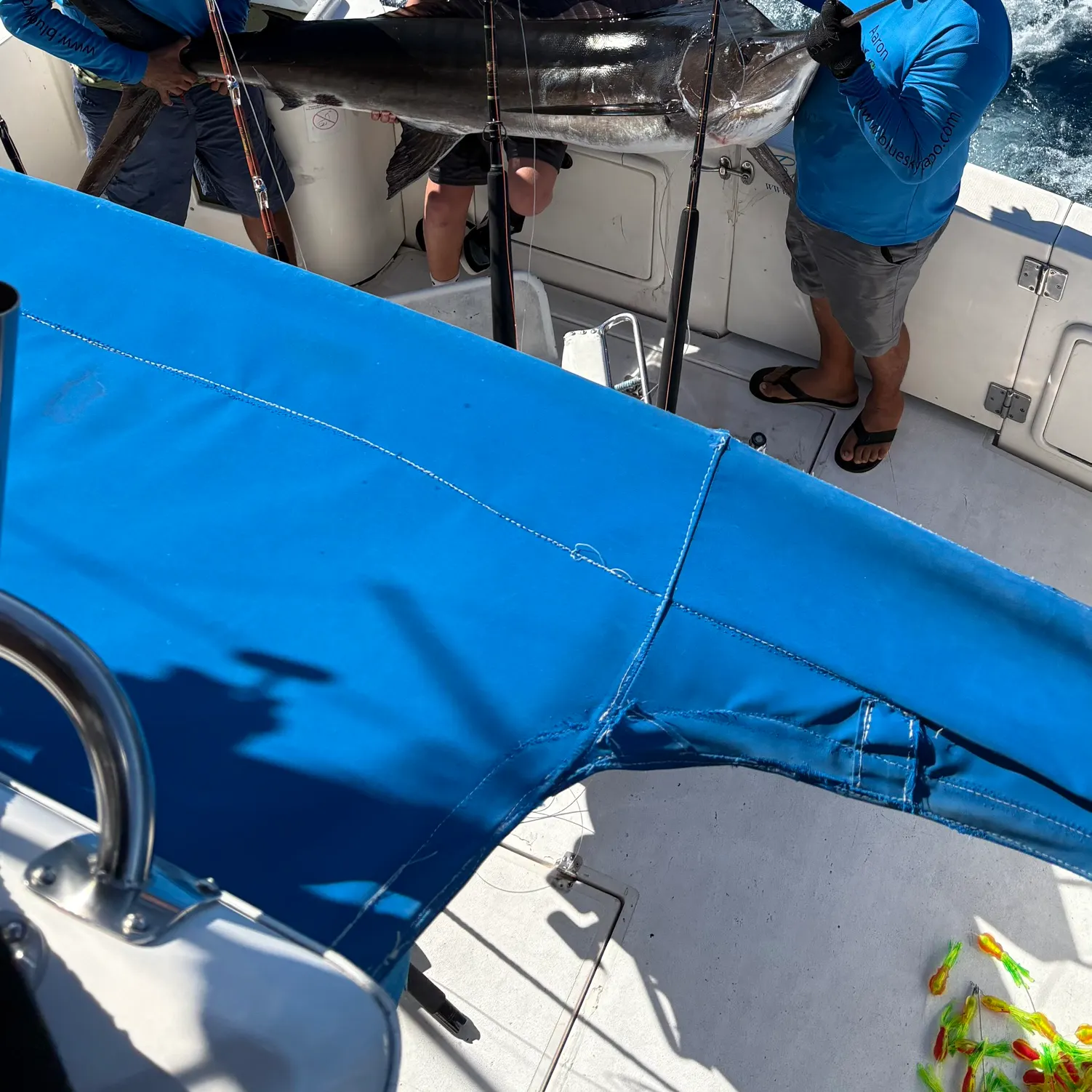 The most recent Indo-Pacific sailfish catches on Fishbrain