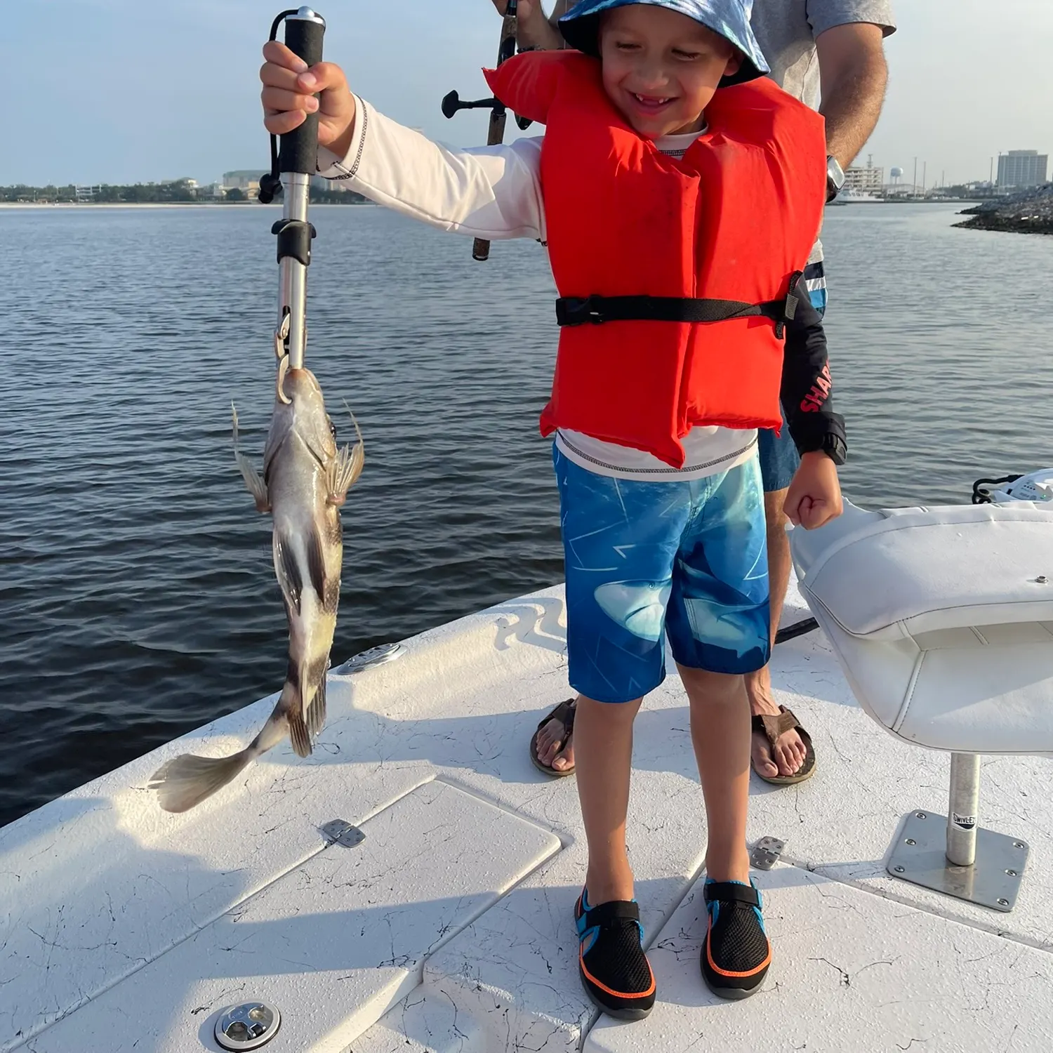 Sheepshead caught on Fishbrain