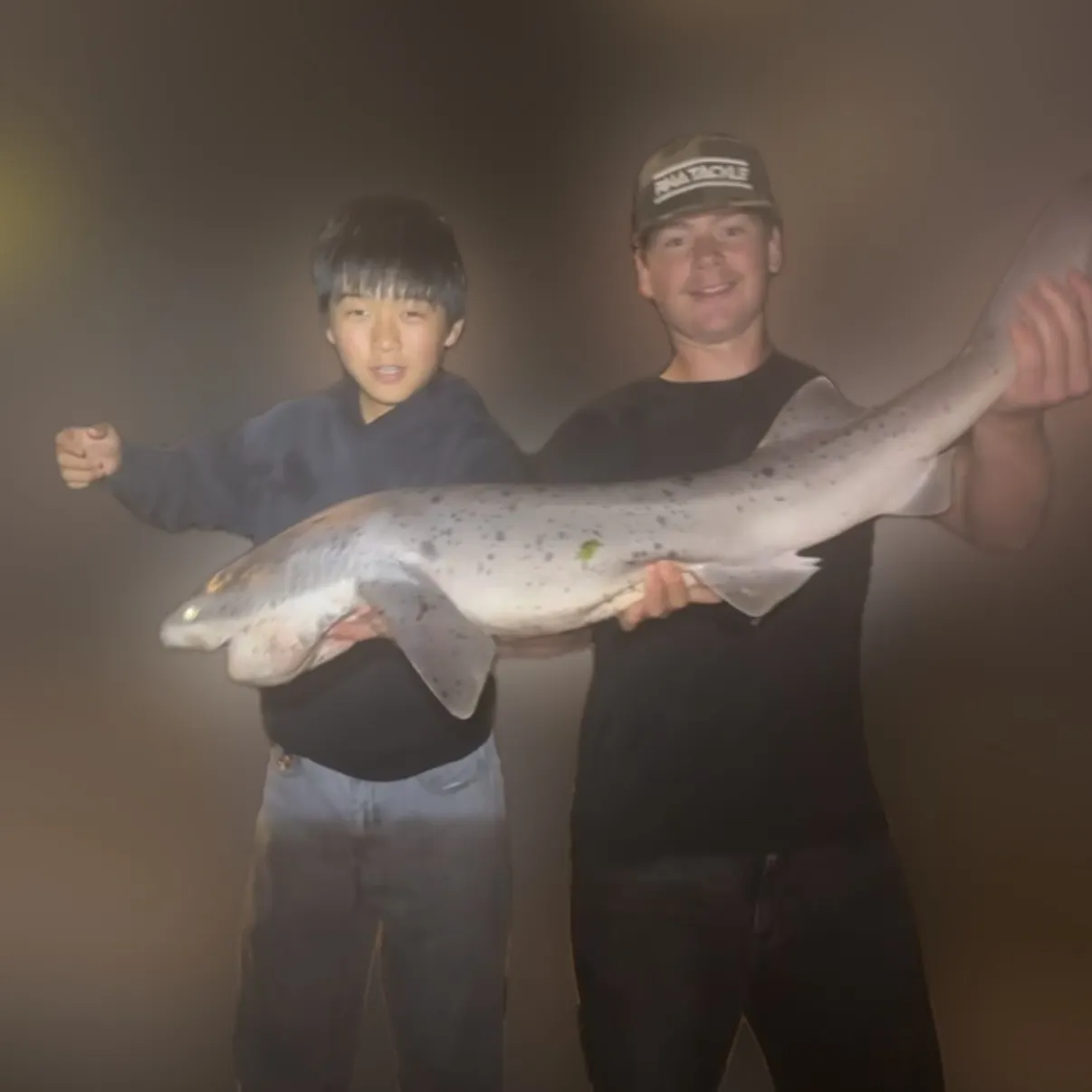 The most recent Broadnose sevengill shark catches on Fishbrain