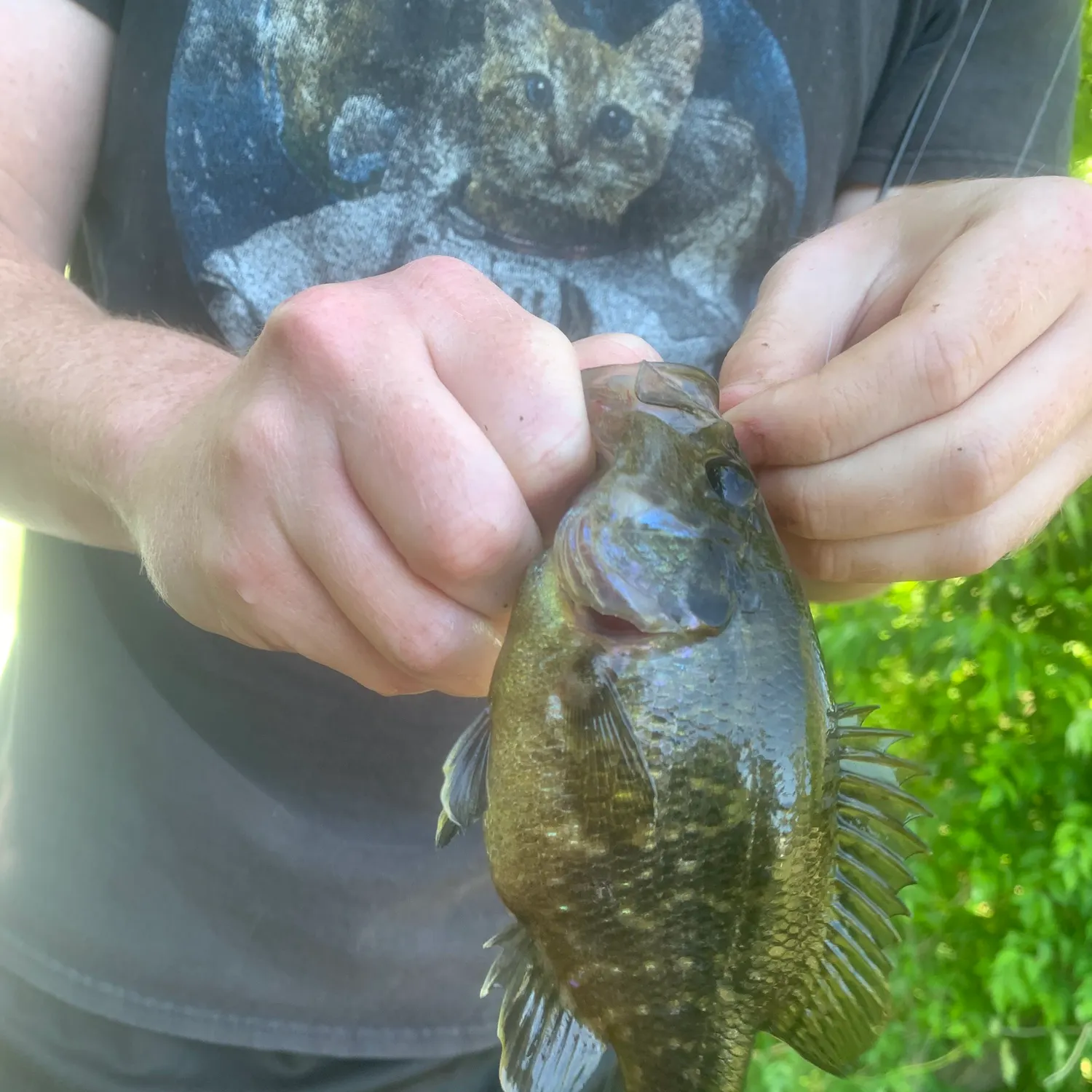 catch