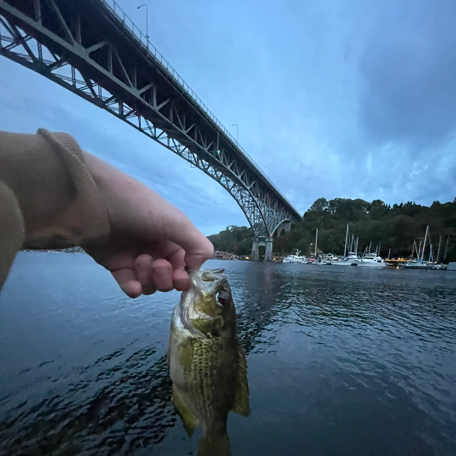 catch