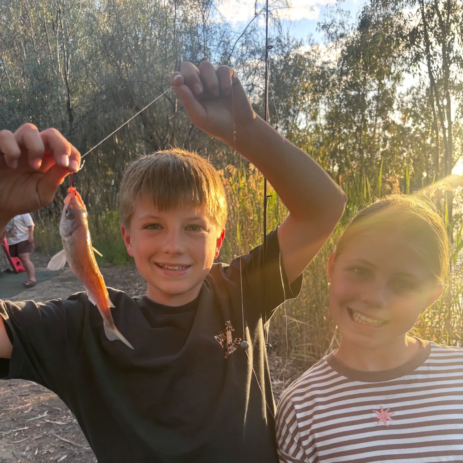 European perch caught on Fishbrain