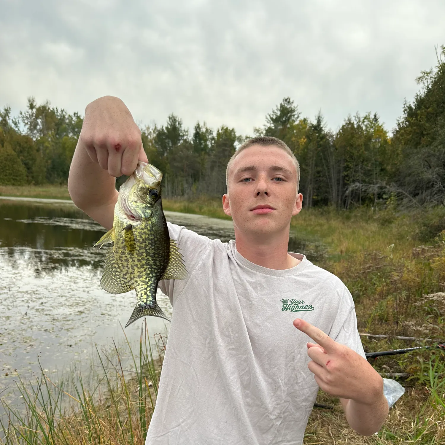 Black crappie caught on Fishbrain