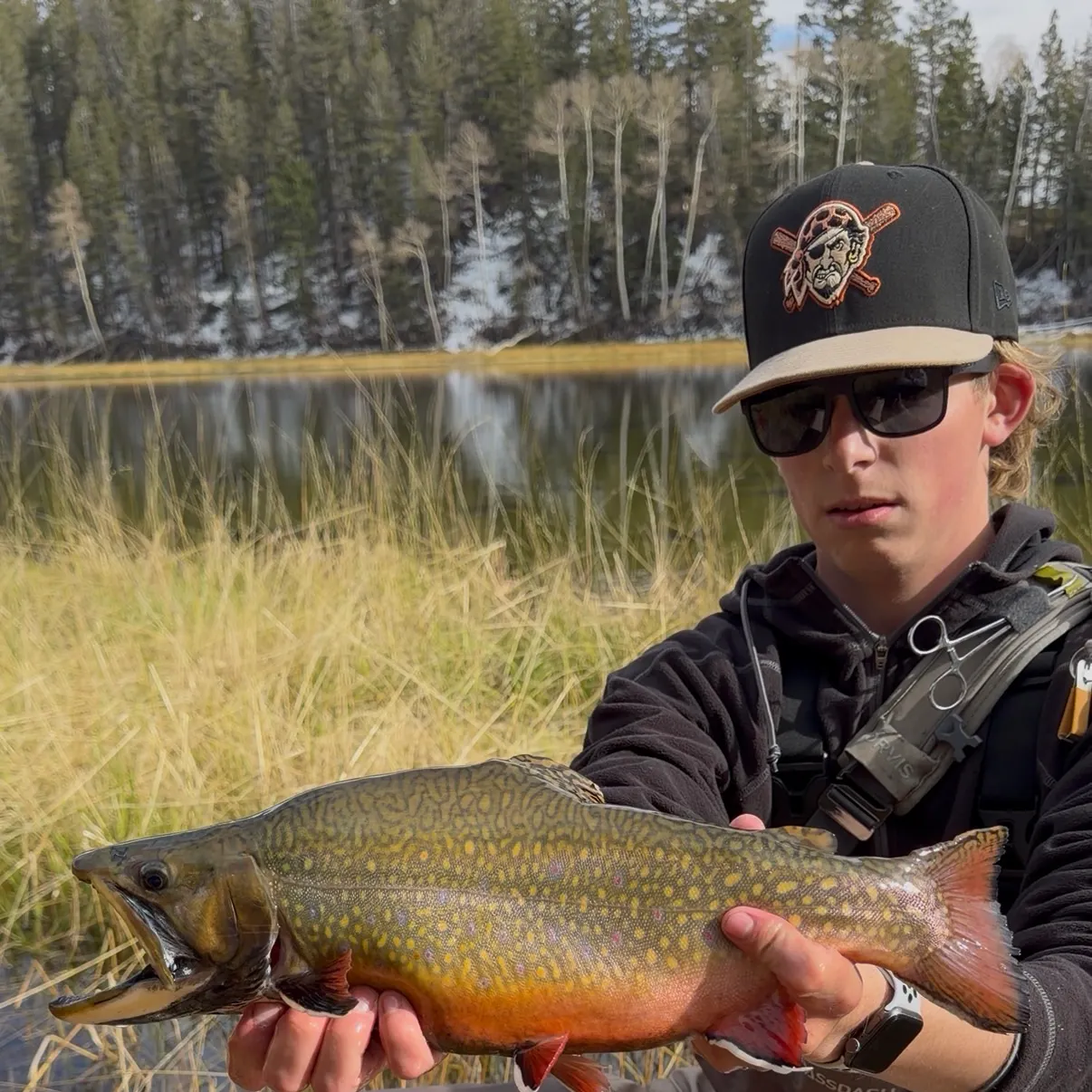 Brook trout caught on Fishbrain