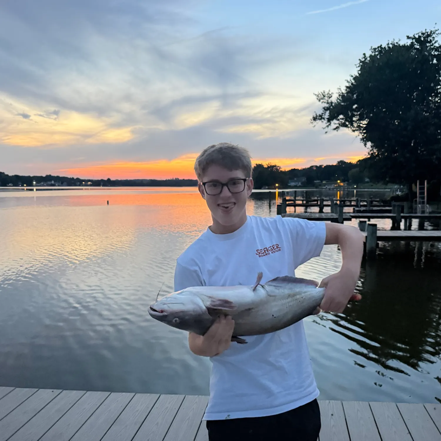 Blue catfish caught on Fishbrain