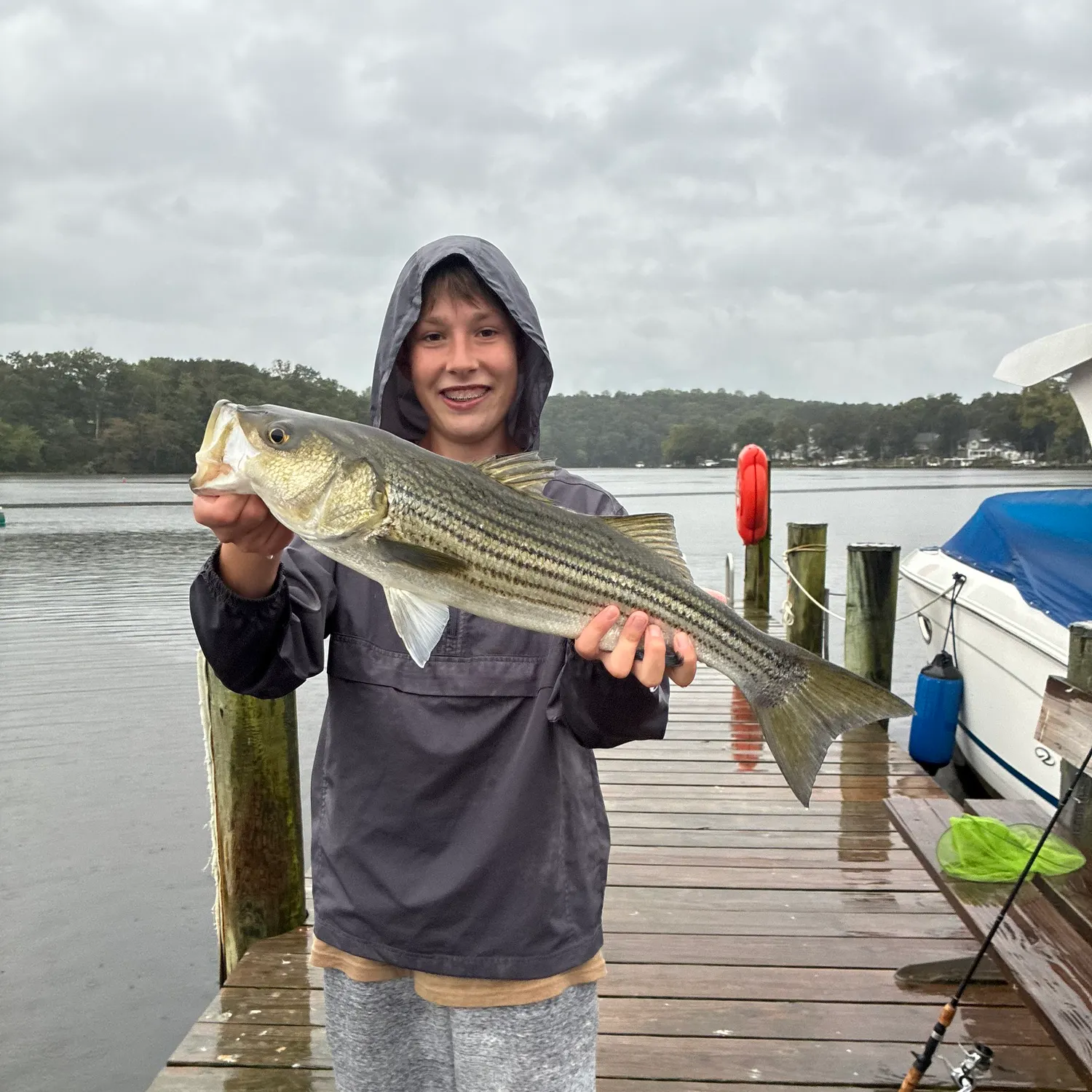Striped bass caught on Fishbrain