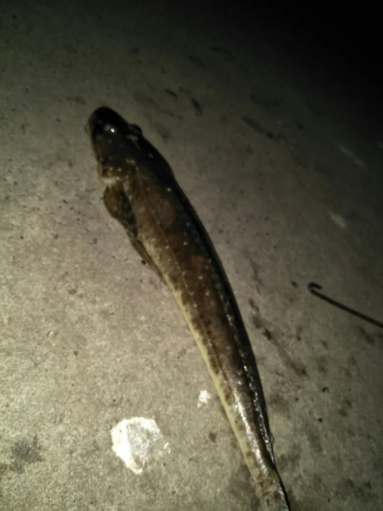 Post image from ashleycocks