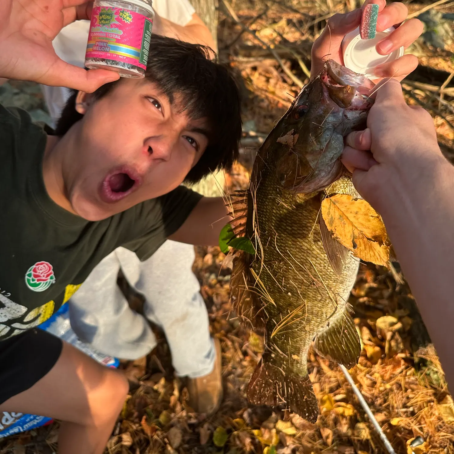 Smallmouth bass caught on Fishbrain