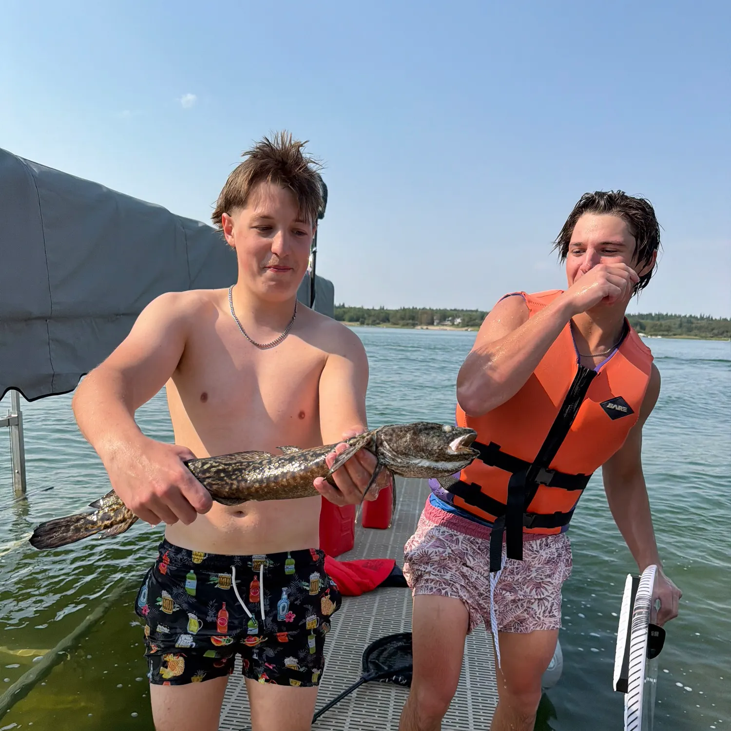Burbot caught on Fishbrain