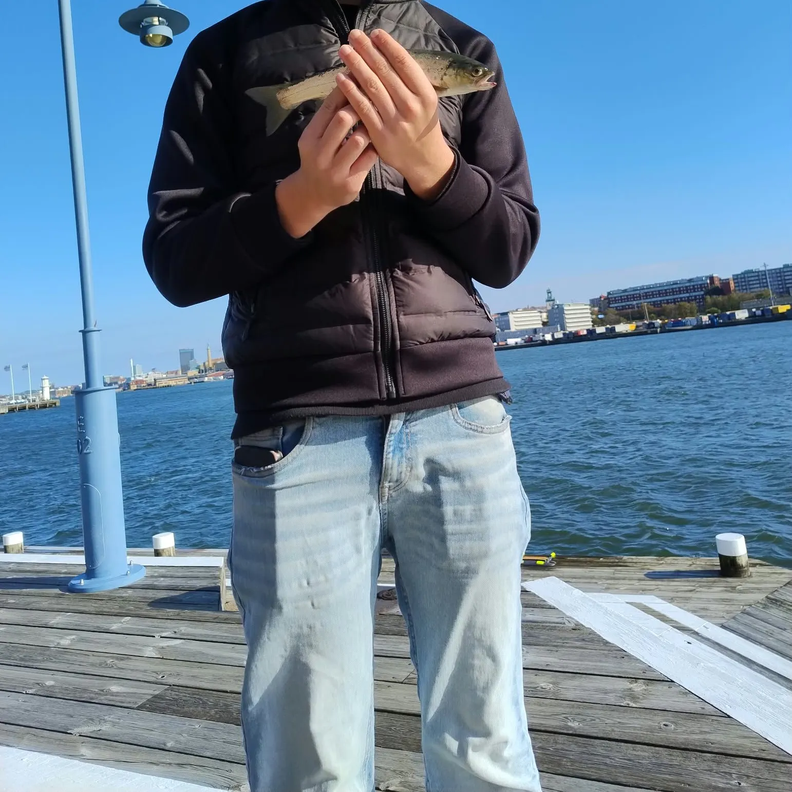 Sea trout caught on Fishbrain