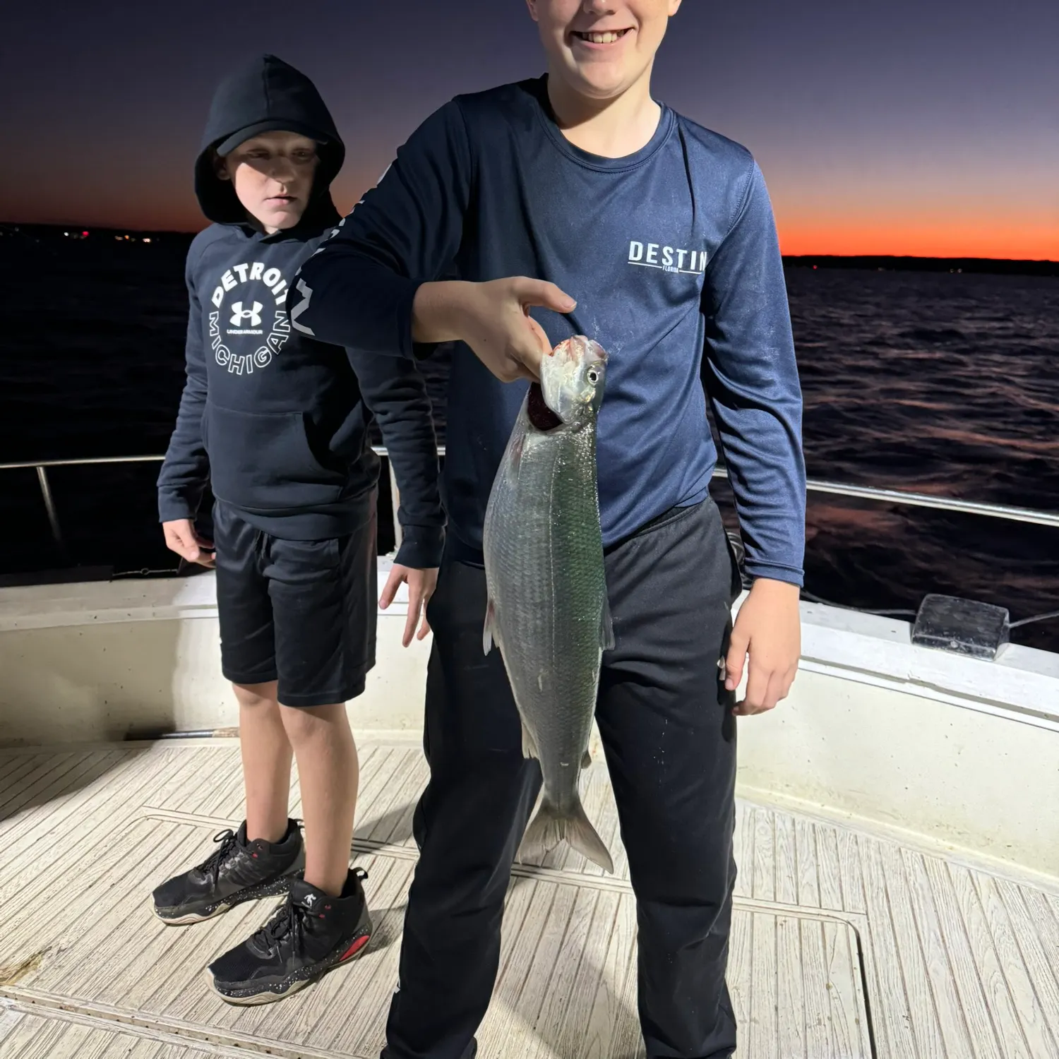 The most recent American shad catches on Fishbrain