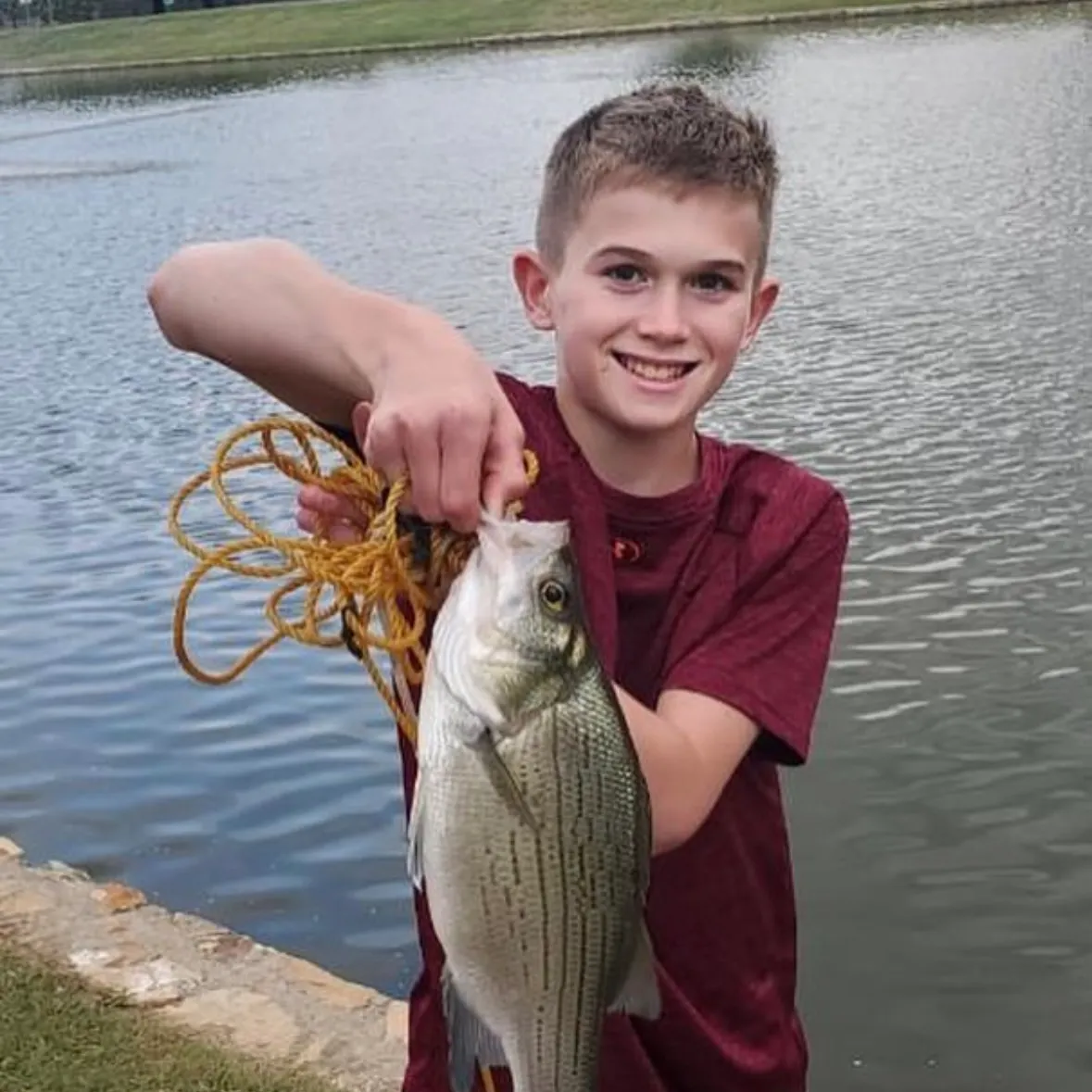 The most recent White bass catches on Fishbrain