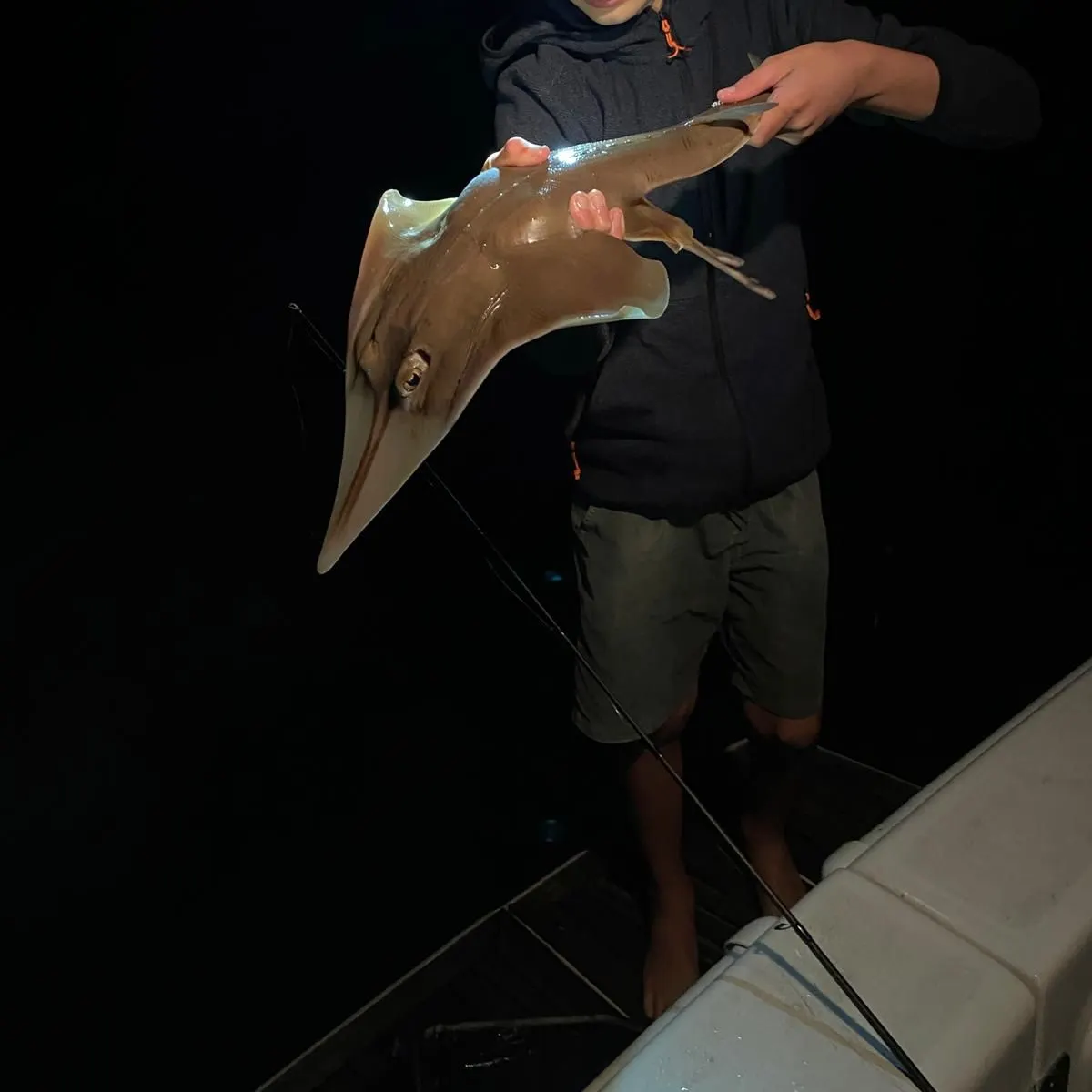 The most recent Pacific shovelnose guitarfish catches on Fishbrain