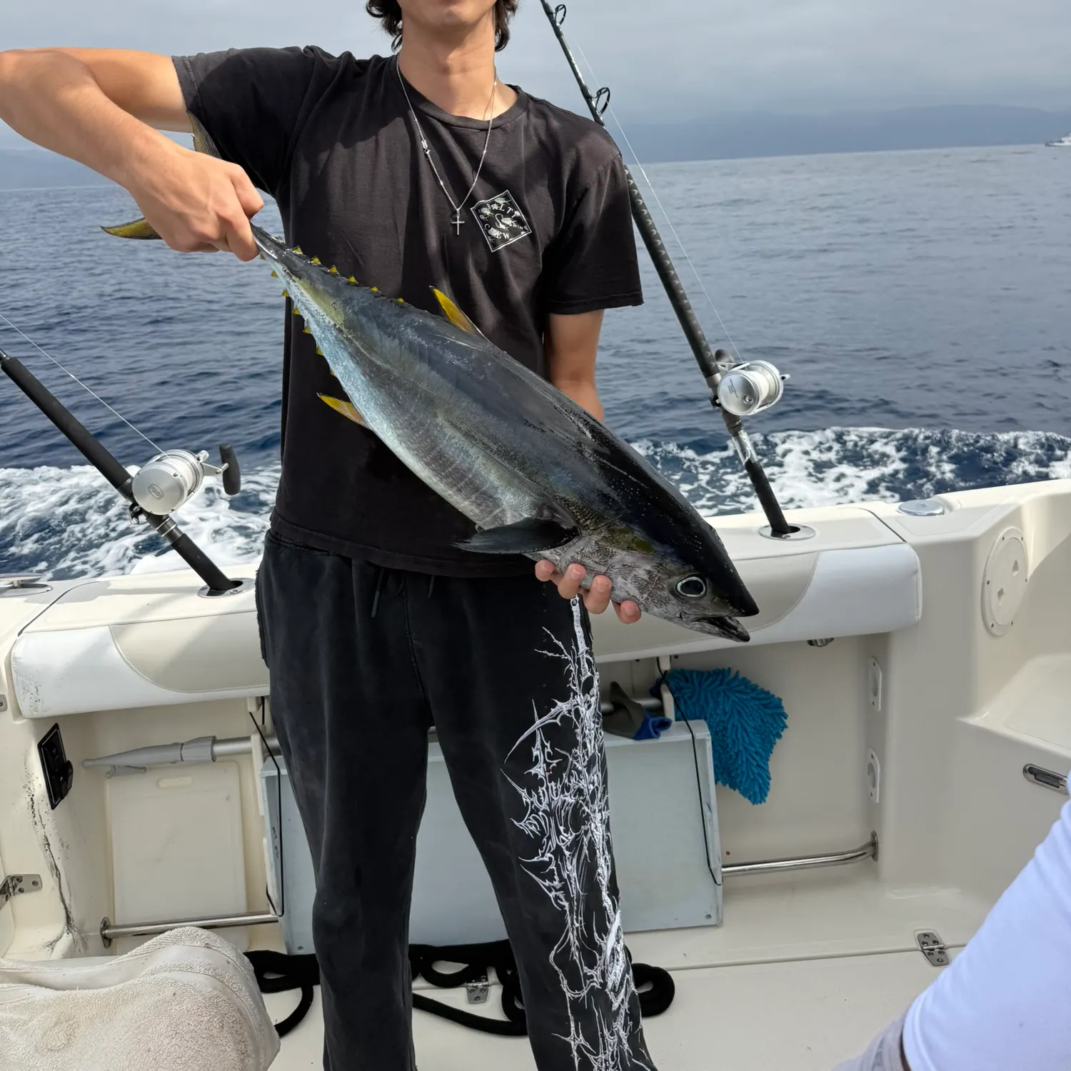 Yellowfin tuna caught on Fishbrain