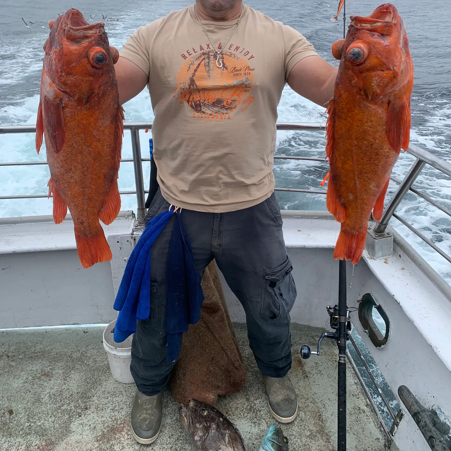 The most recent Vermilion rockfish catches on Fishbrain