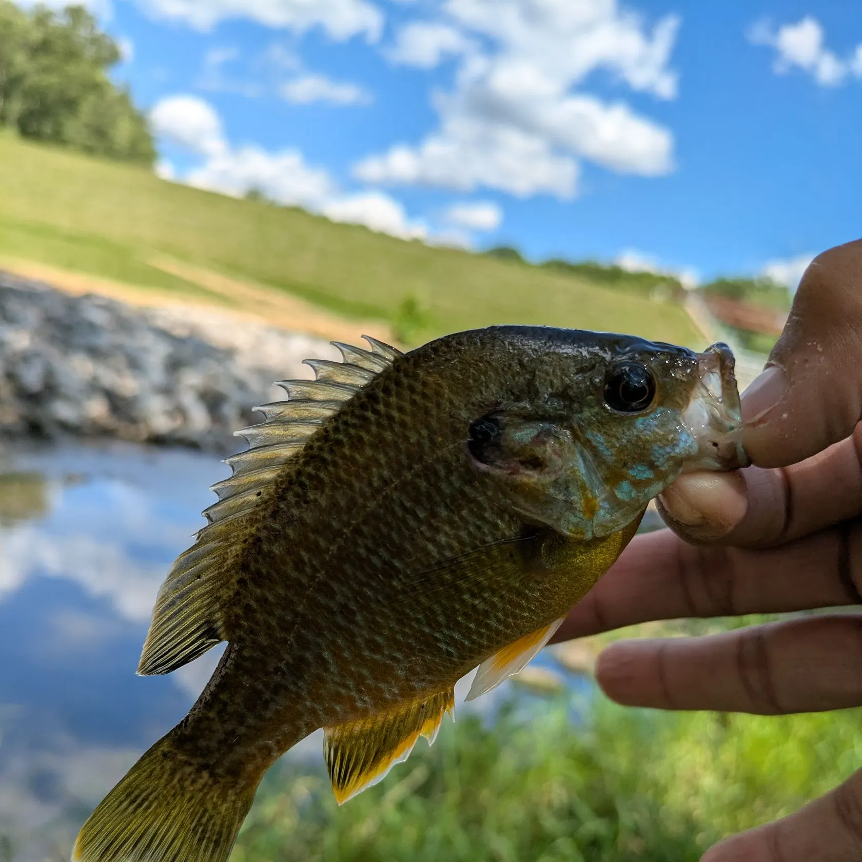 catch