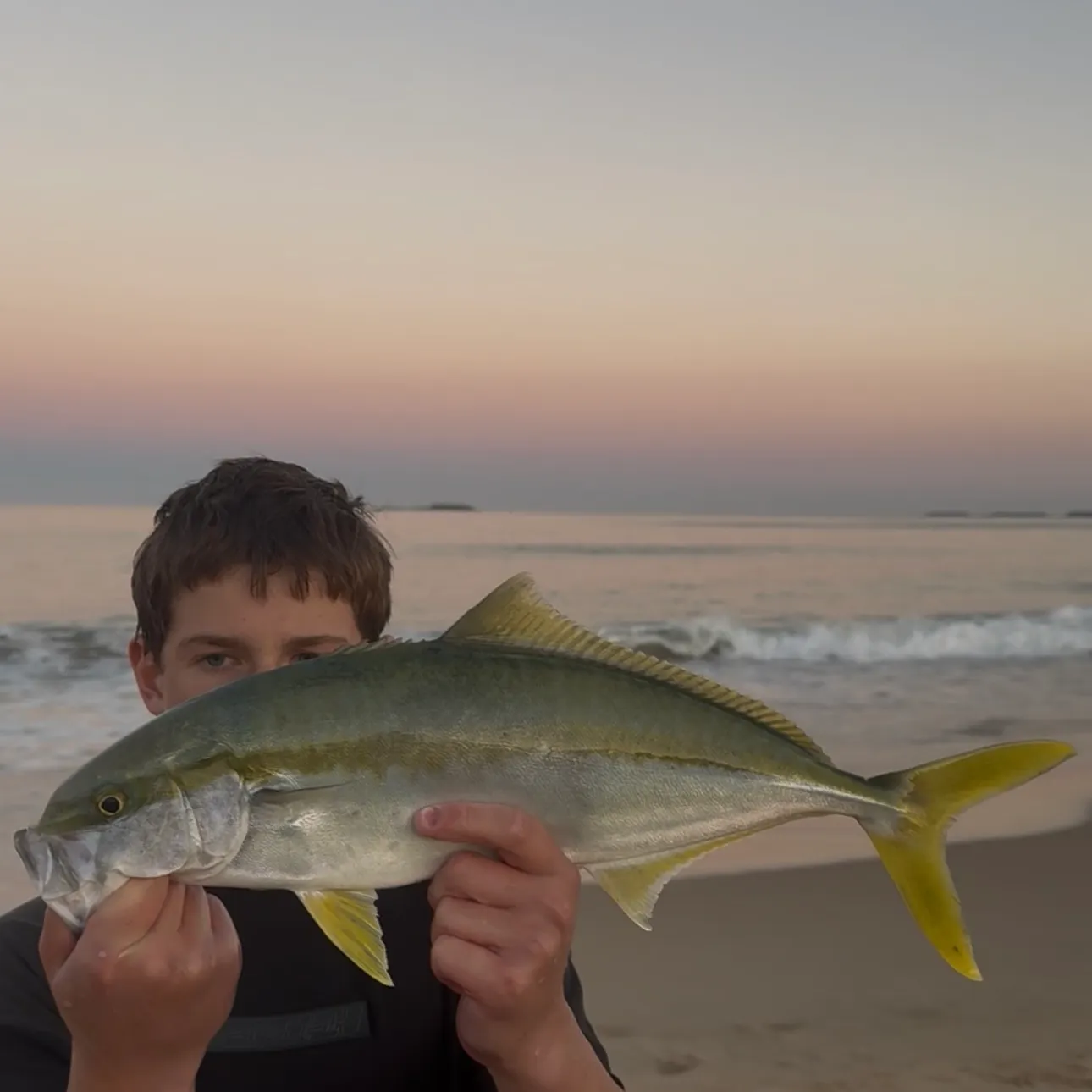 Southern yellowtail amberjack caught on Fishbrain