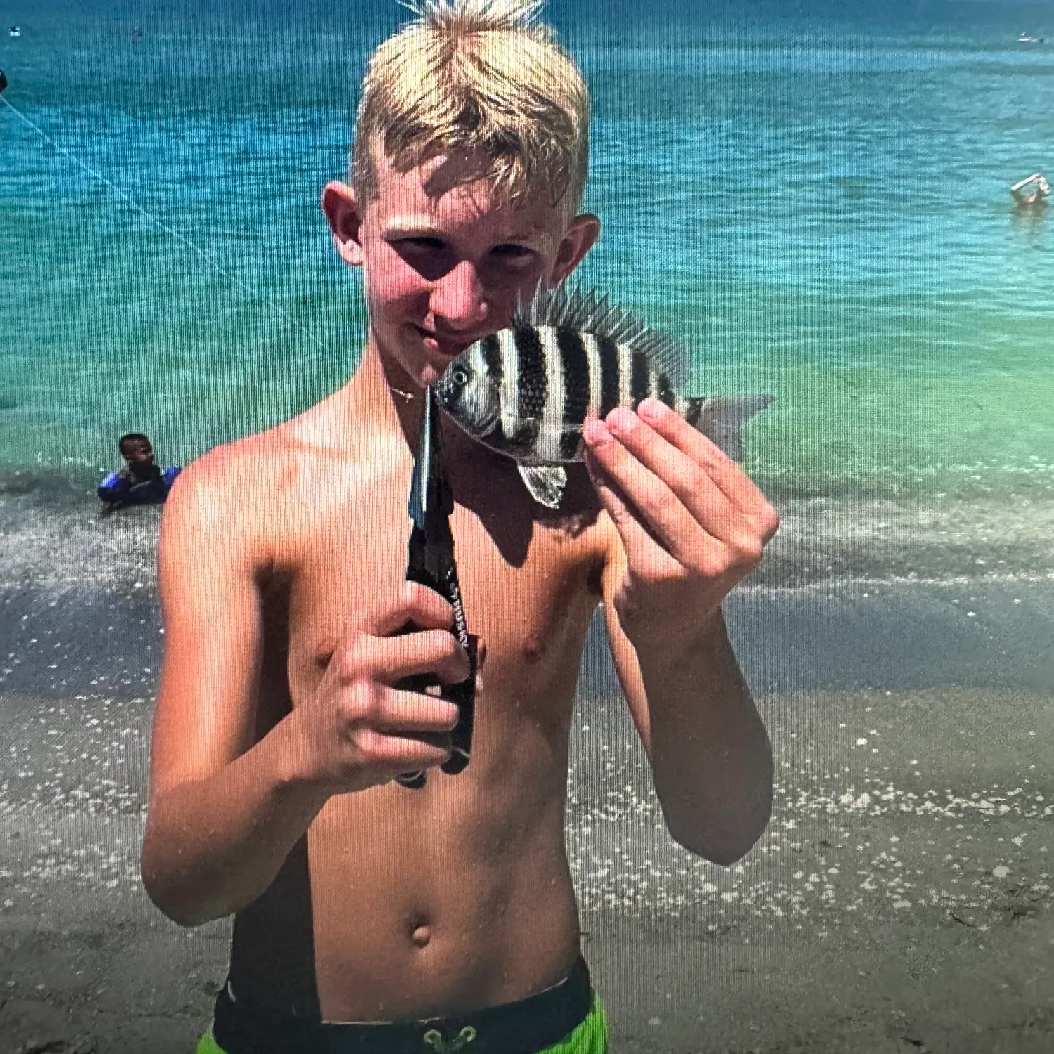 The most recent Sheepshead catches on Fishbrain