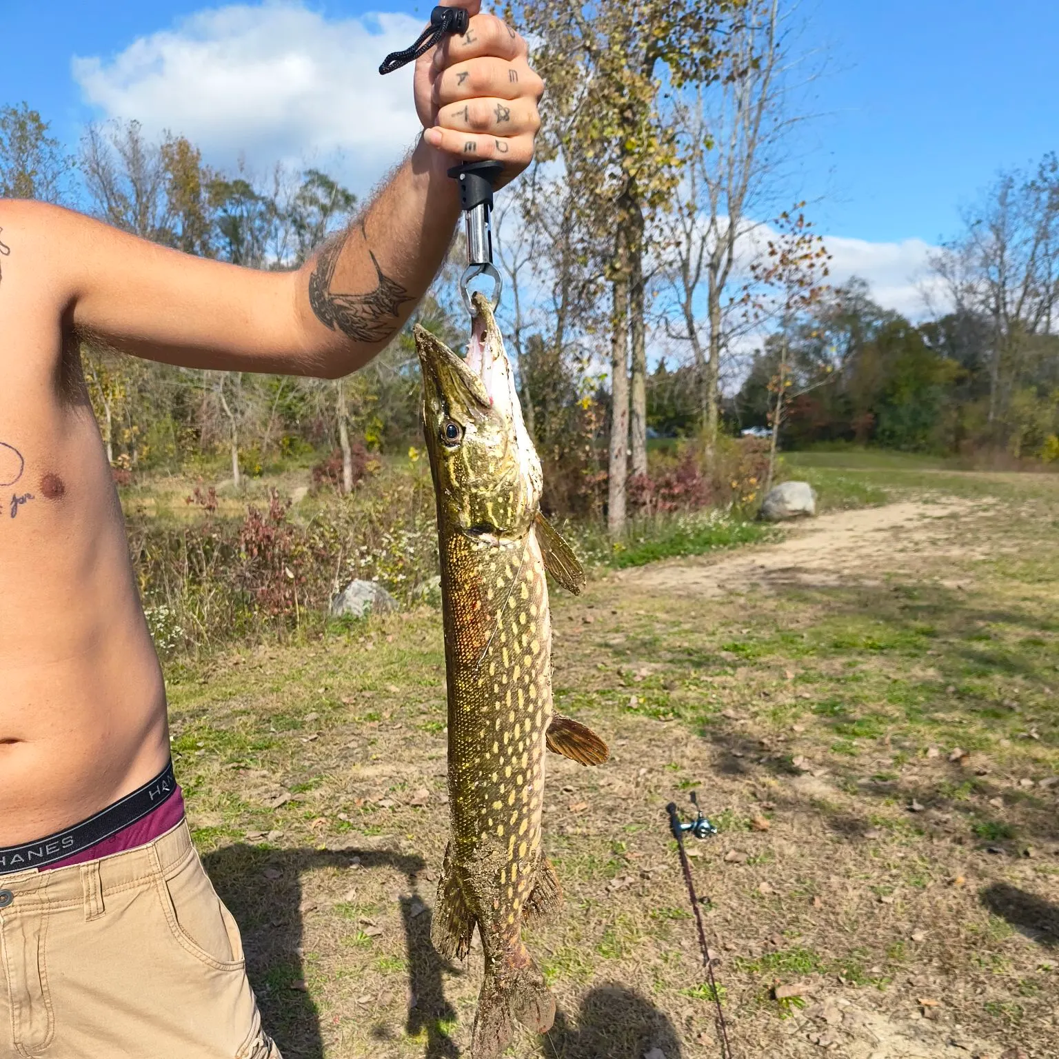 Northern pike caught on Fishbrain