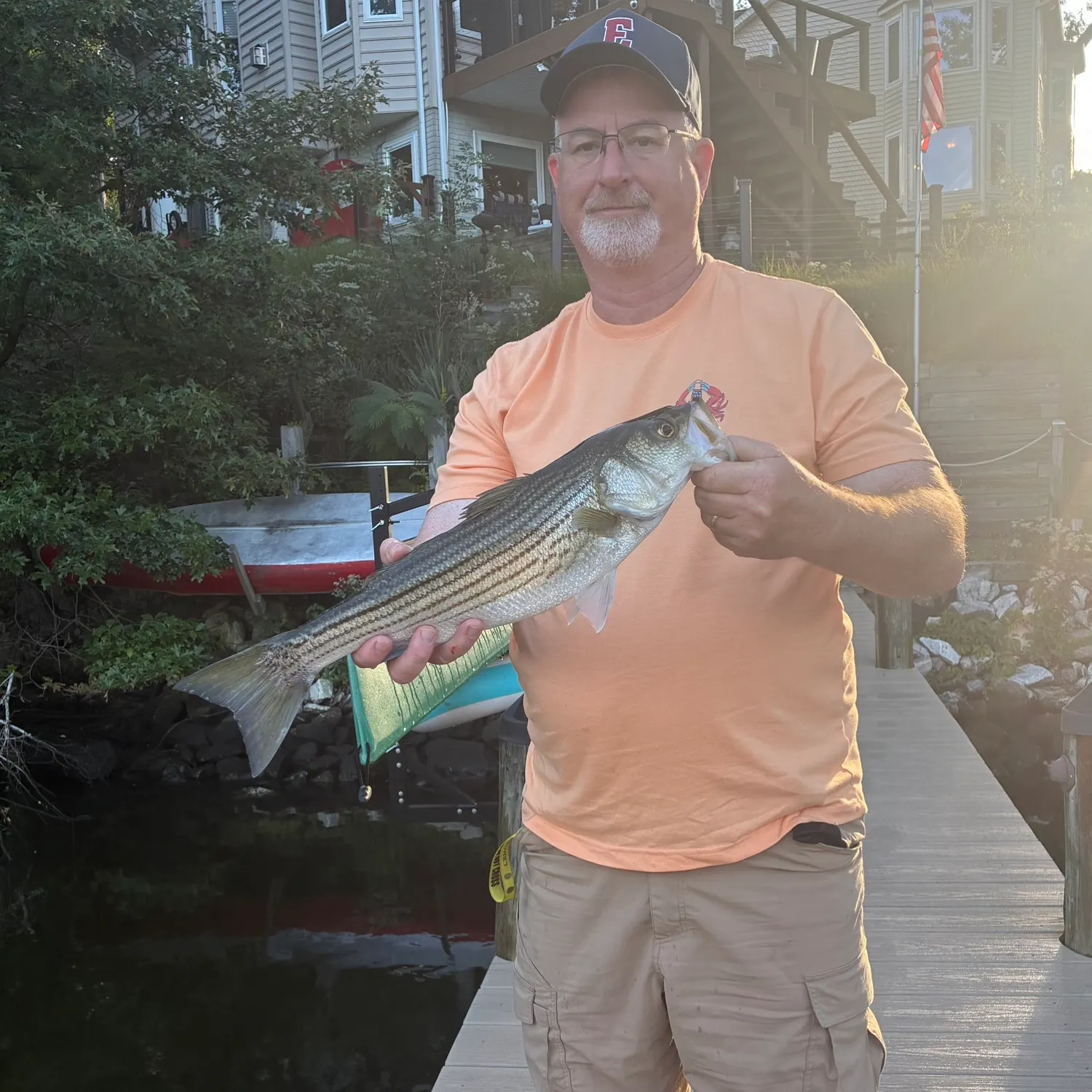 Striped bass caught on Fishbrain