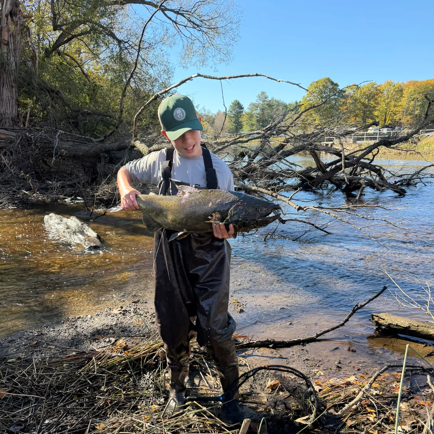 Chinook salmon caught on Fishbrain