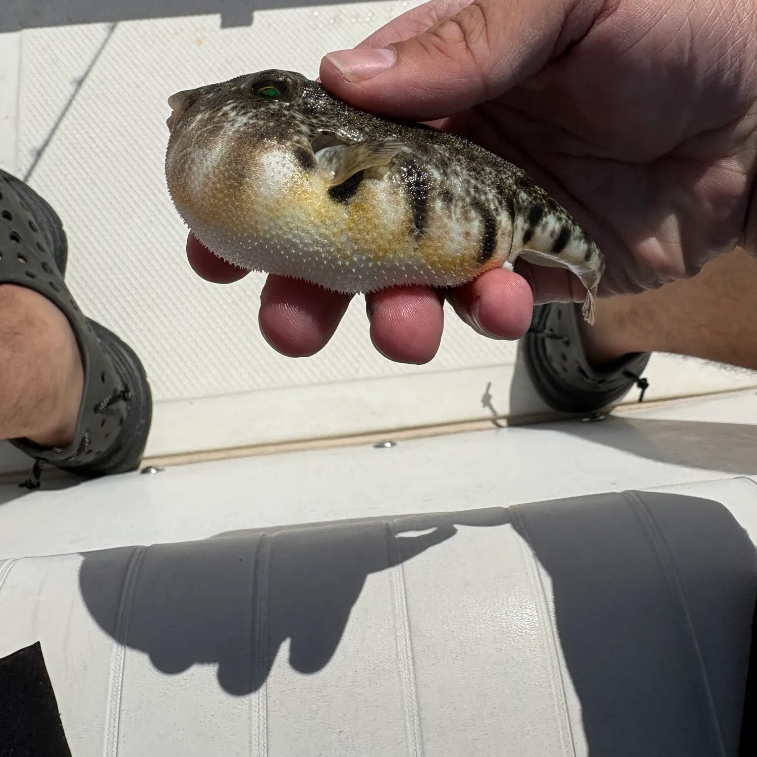 catch