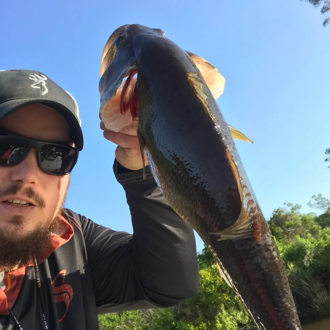 angler catch