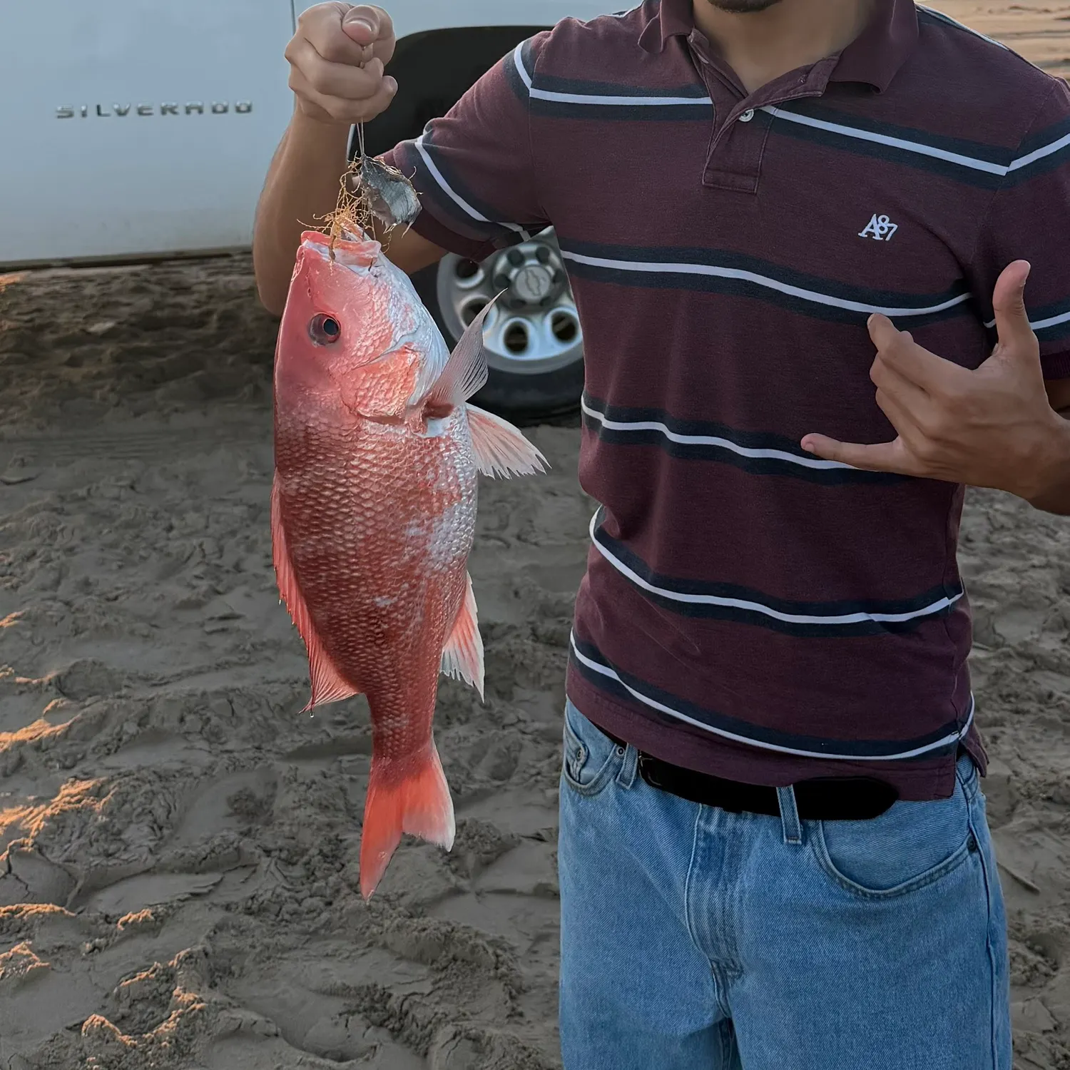 Northern red snapper caught on Fishbrain