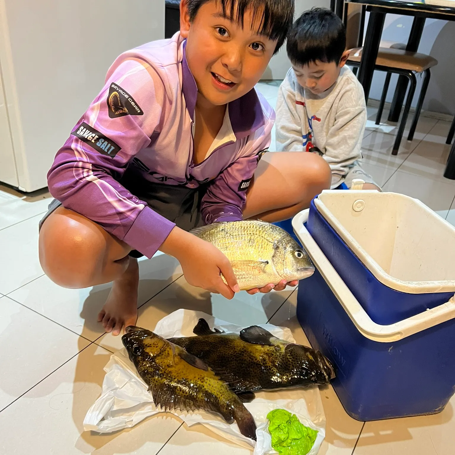 The most recent Goldlined seabream catches on Fishbrain