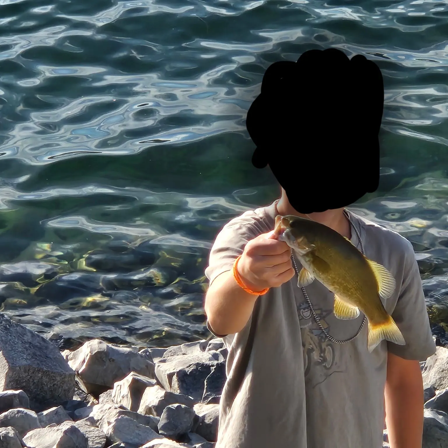 Smallmouth bass caught on Fishbrain