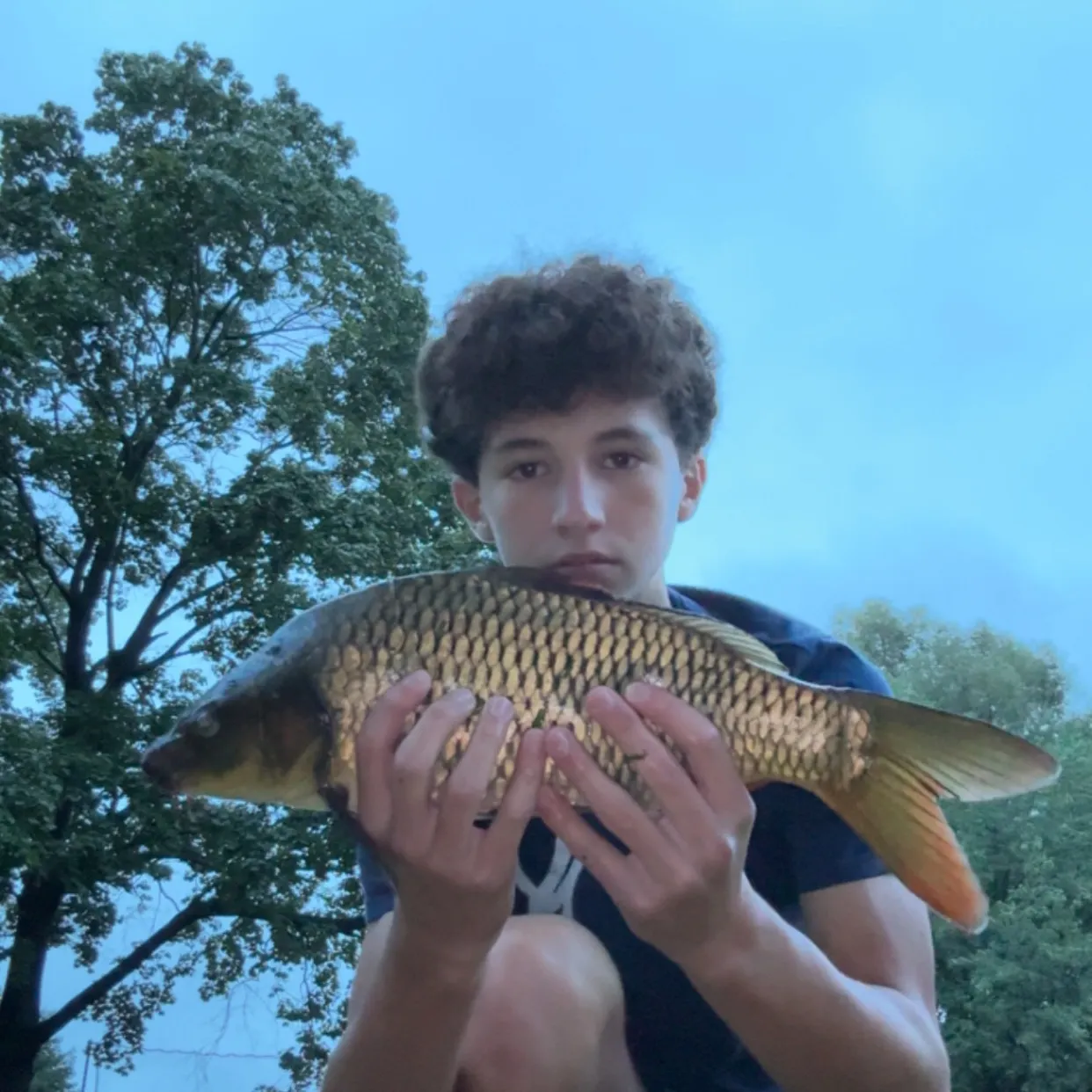 Common carp caught on Fishbrain