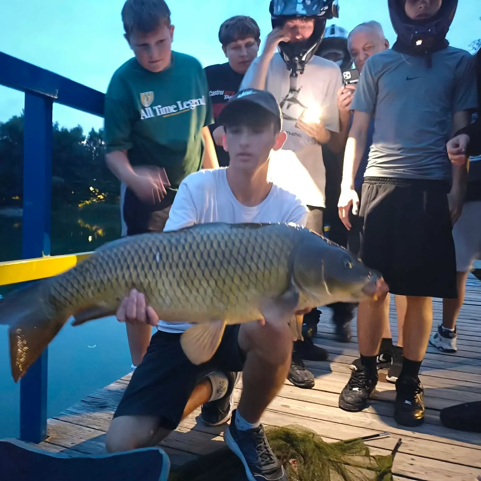 Common carp caught on Fishbrain