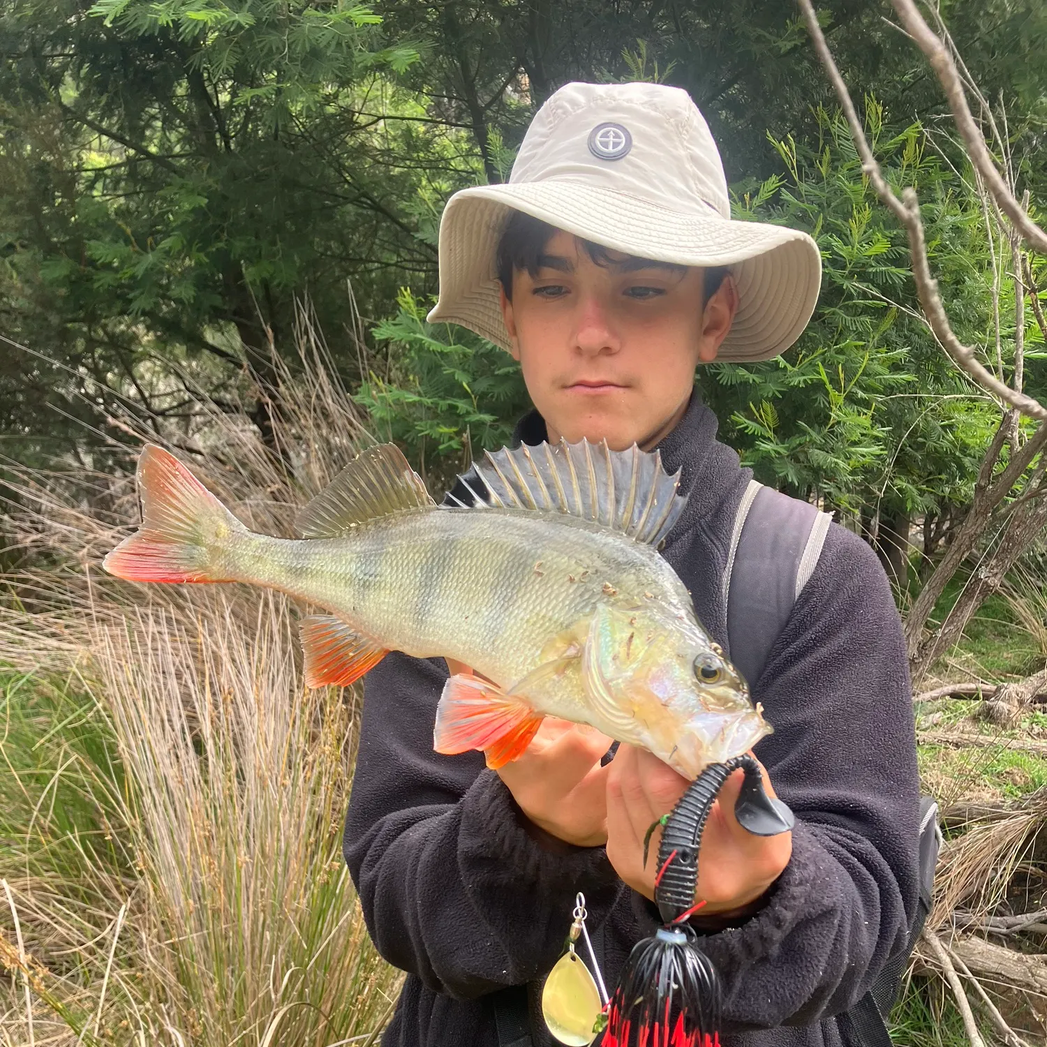 The most recent European perch catches on Fishbrain