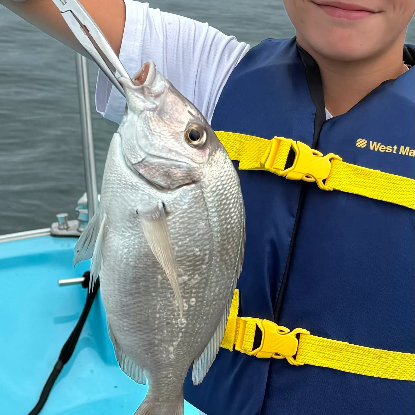 The most recent Scup catches on Fishbrain