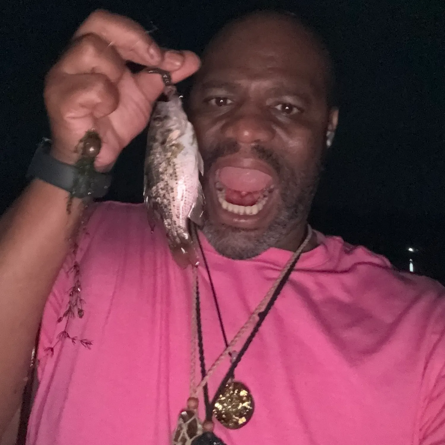 Yellow perch caught on Fishbrain