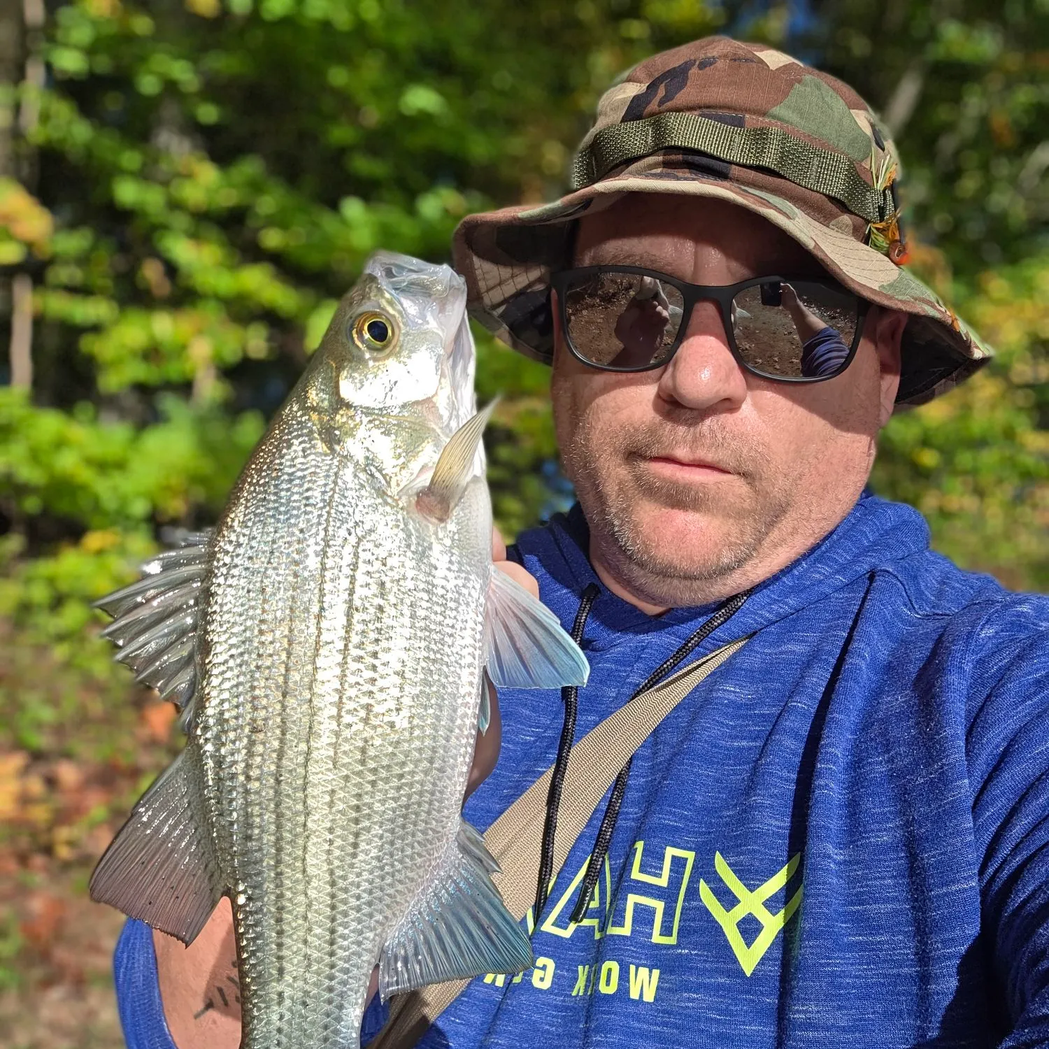 Wiper caught on Fishbrain
