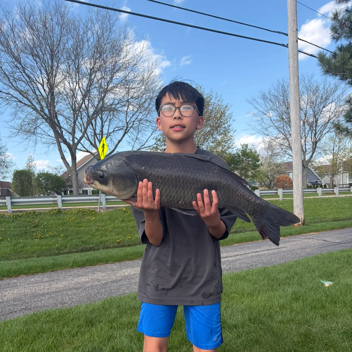The most recent Bigmouth buffalo catches on Fishbrain