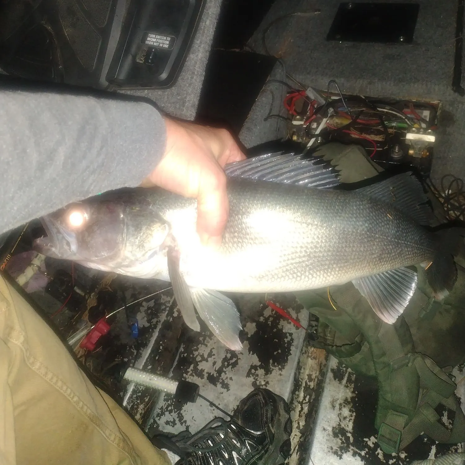 catch