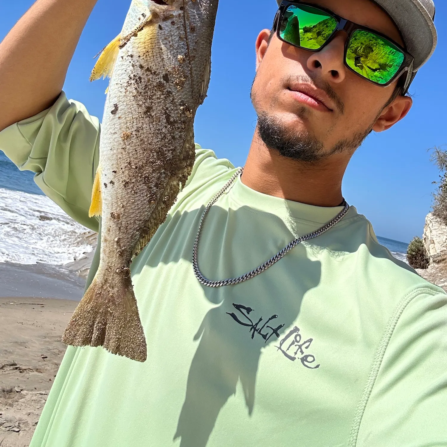 Yellowfin croaker caught on Fishbrain