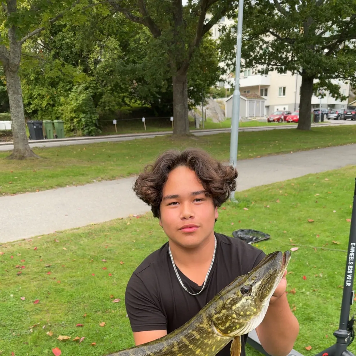 Northern pike caught on Fishbrain