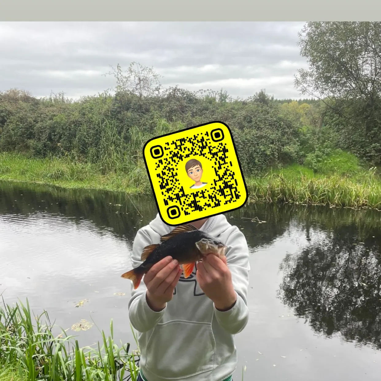 European perch caught on Fishbrain