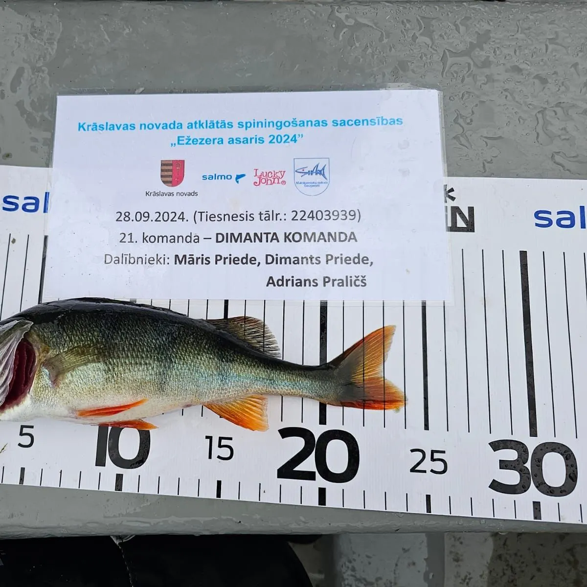 recently logged catches