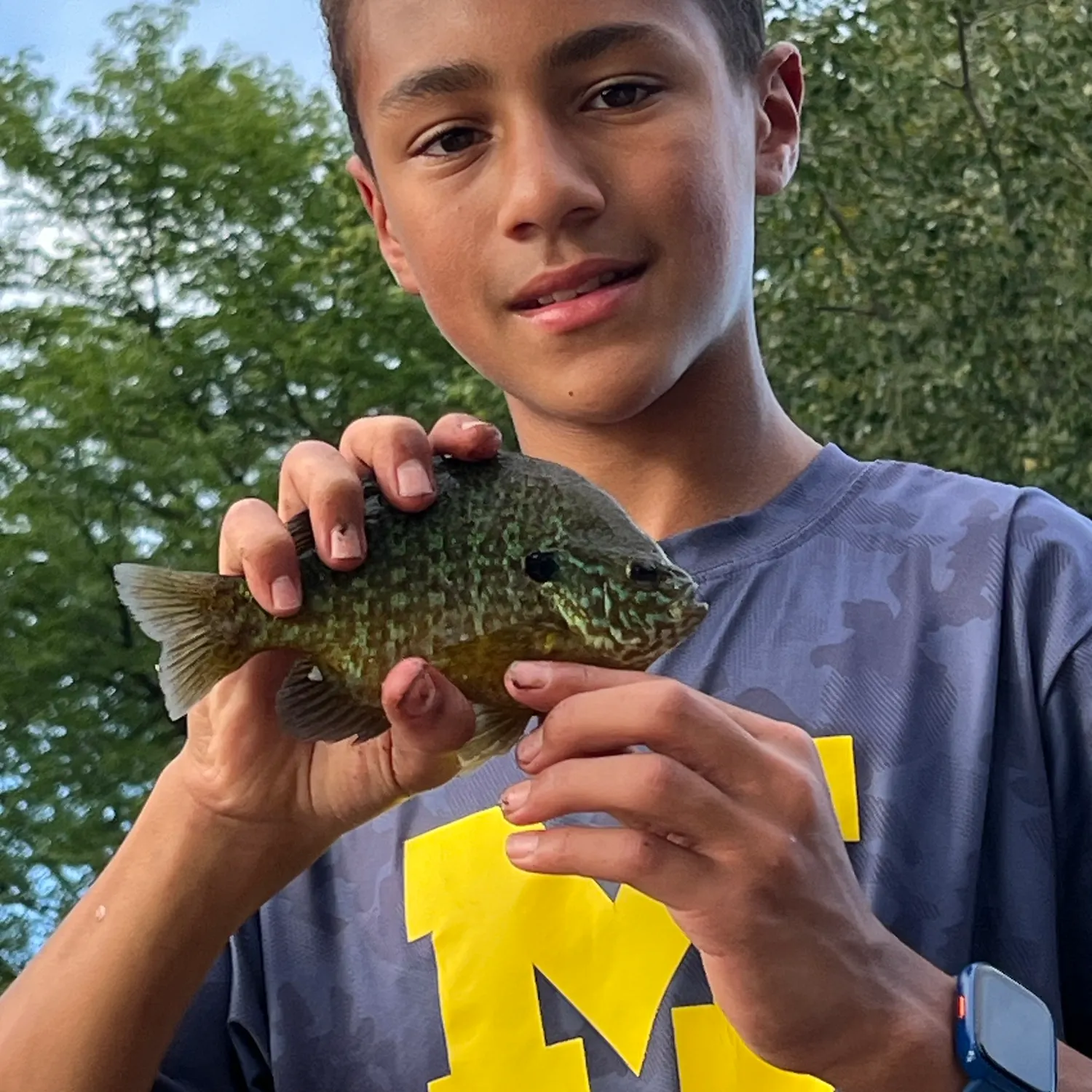 The most recent Greengill hybrid catches on Fishbrain