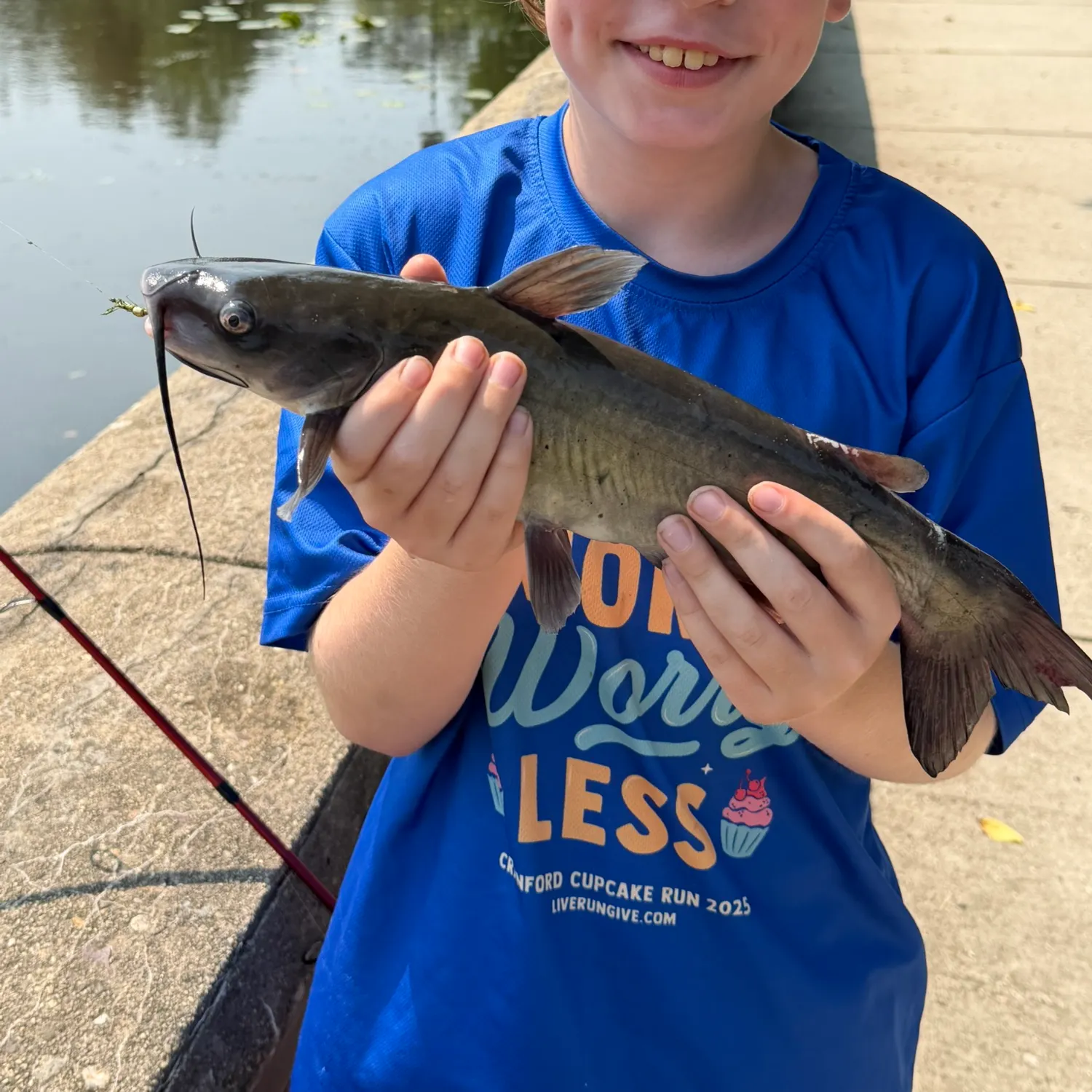 Channel catfish caught on Fishbrain