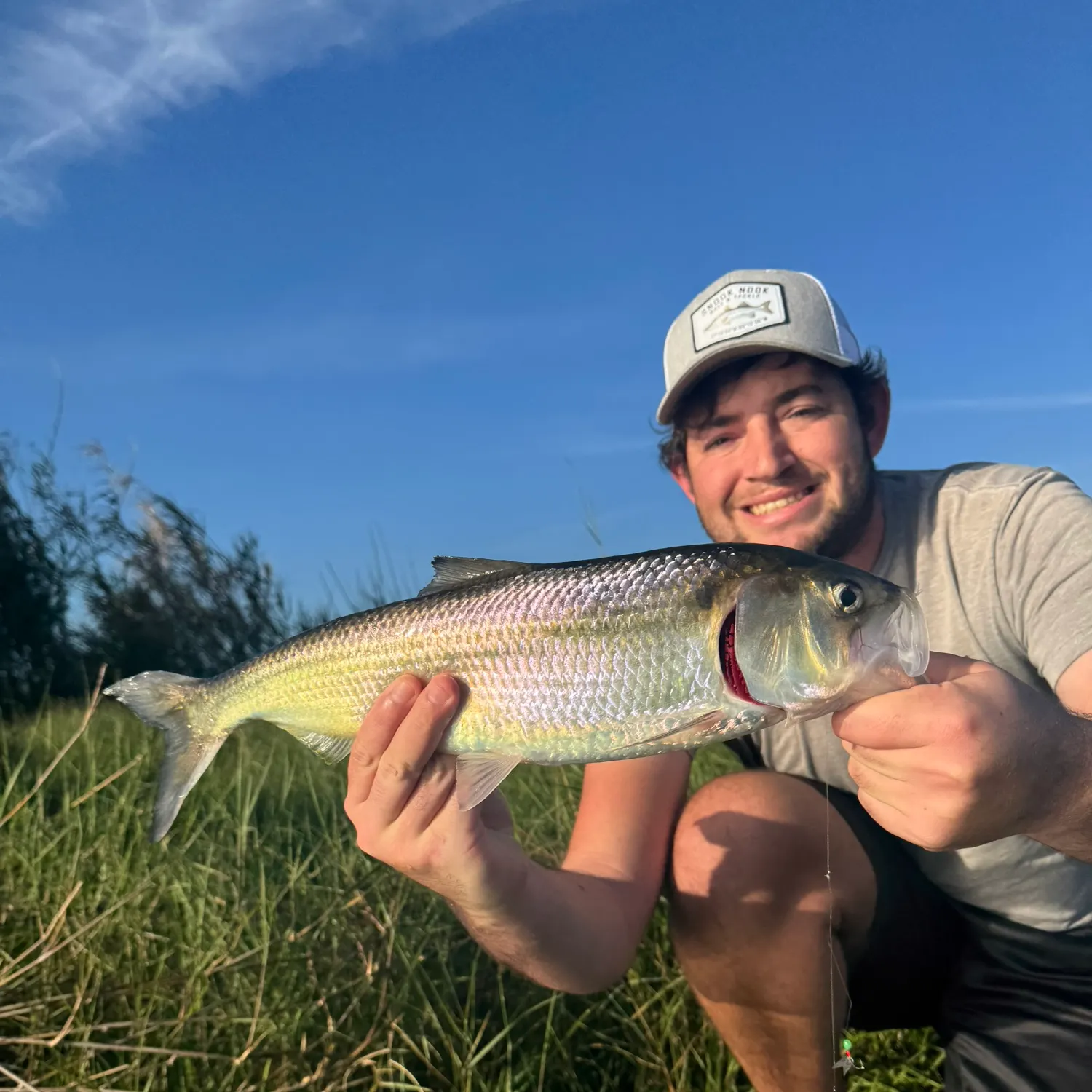 The most recent American shad catches on Fishbrain