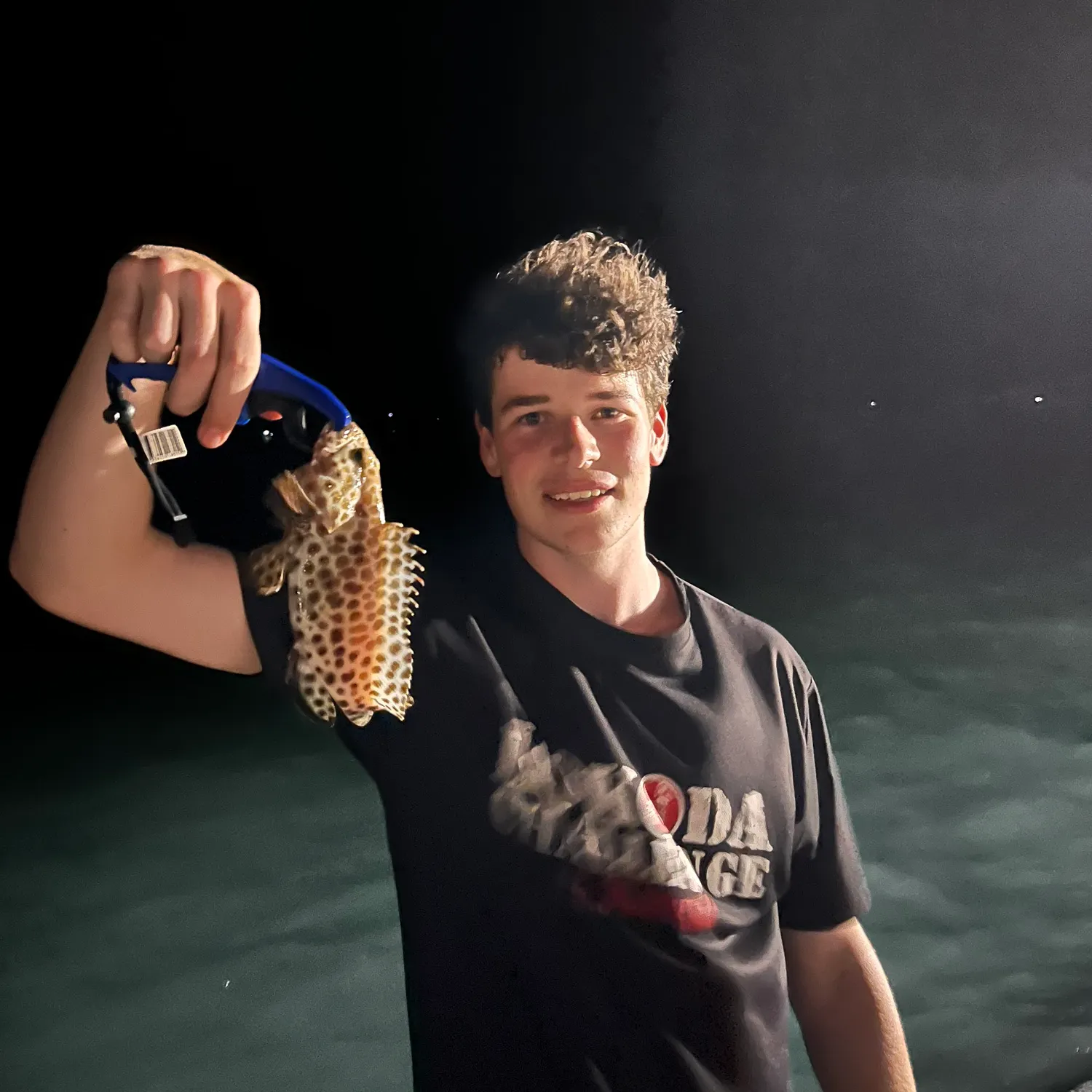 The most recent Greasy grouper catches on Fishbrain