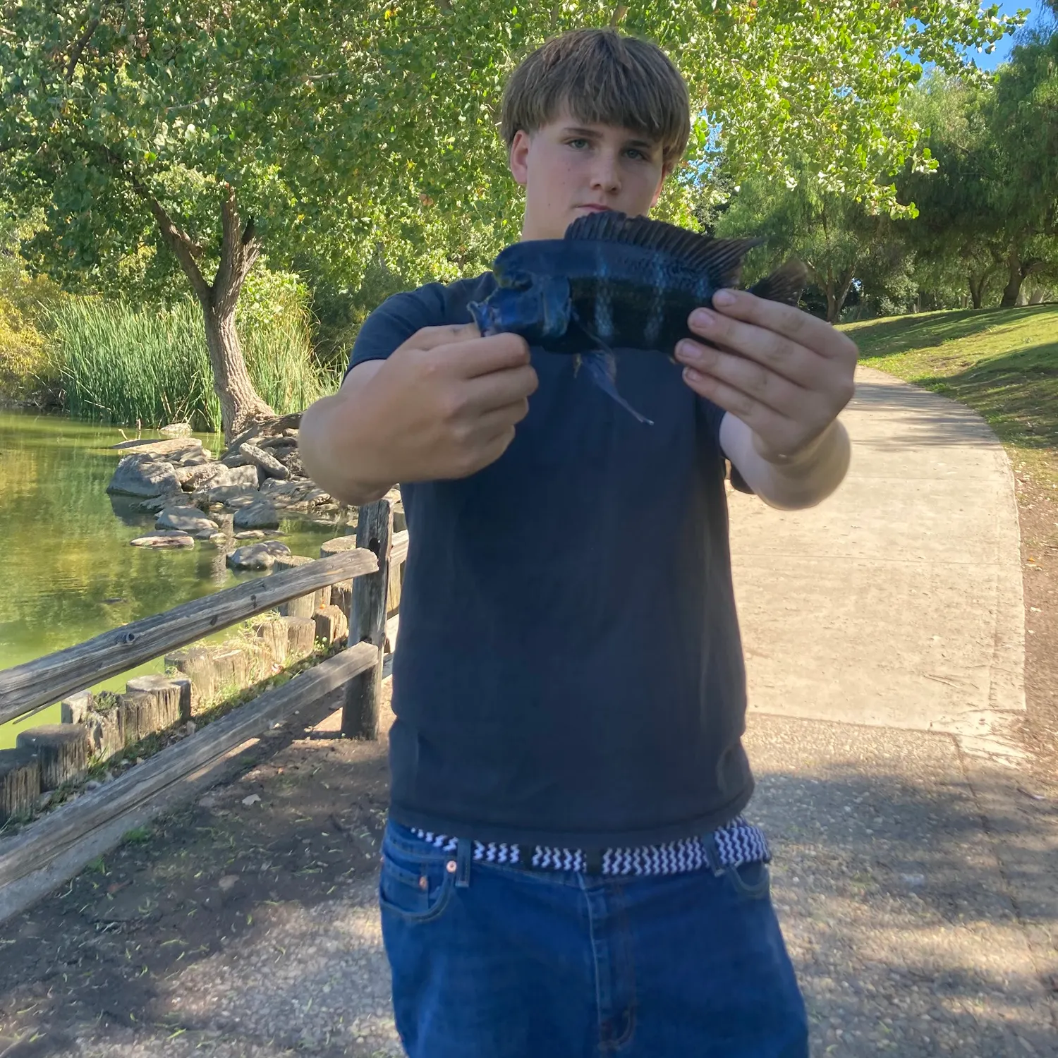 The most recent Convict cichlid catches on Fishbrain