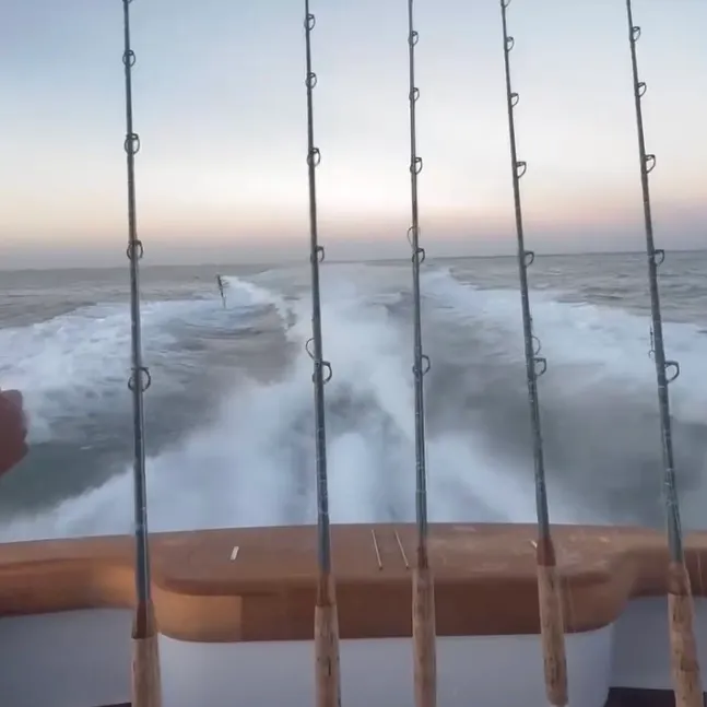 The most recent Common dolphinfish catches on Fishbrain