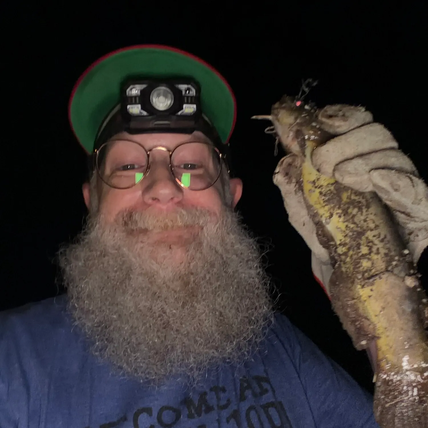 Yellow bullhead caught on Fishbrain