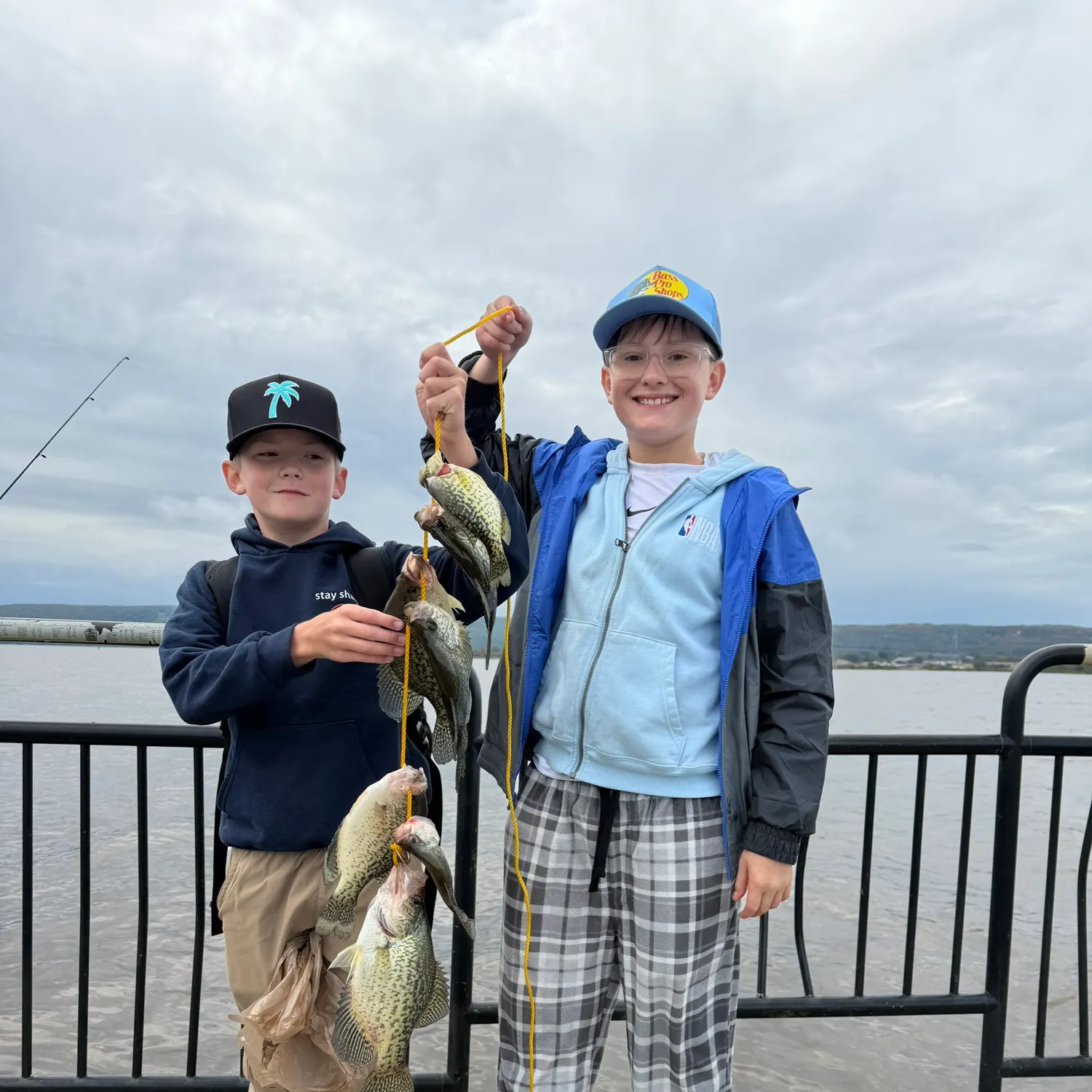 Black crappie caught on Fishbrain